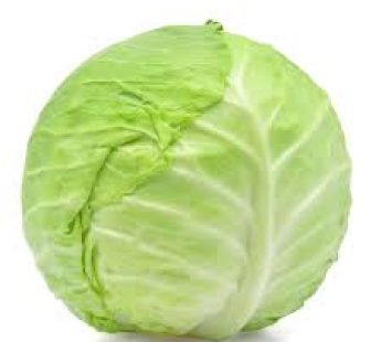 CABBAGE 1PIECE