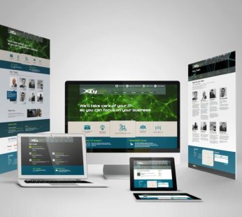 Professional Business Website Development