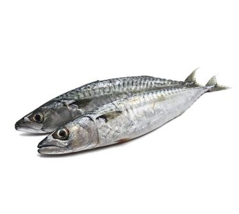 FISH MEAT-TOMSON(1KG)