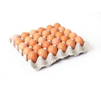 Eggs(Tray)