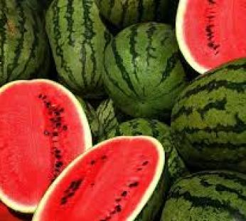 WATER MELLON